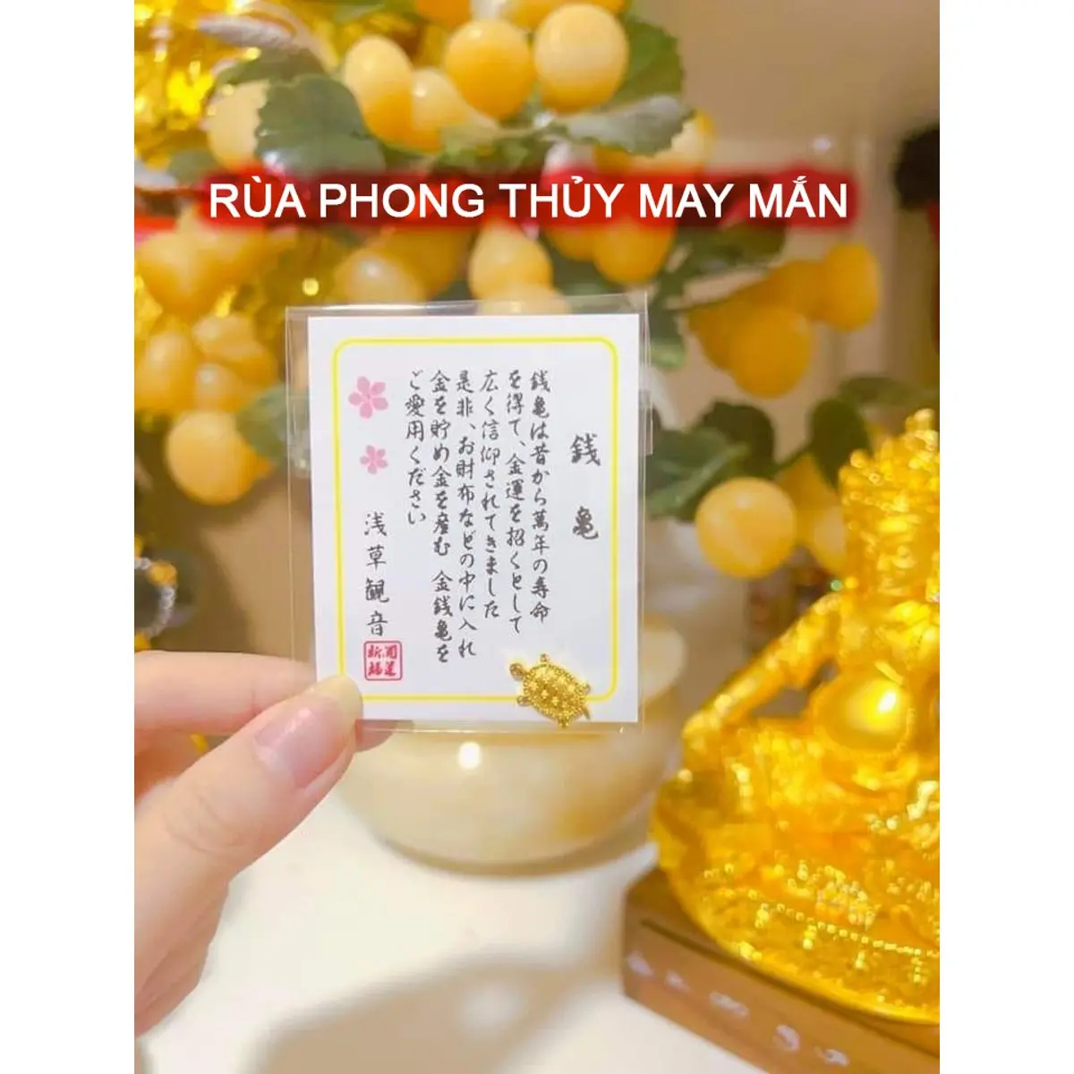[HÀNG CHUẨN] Rùa may mắn cao cấp đẹp mắt màu vàng Sức khỏe Giàu, Đồ trang trí Bạn bè, phong thủy may mắn