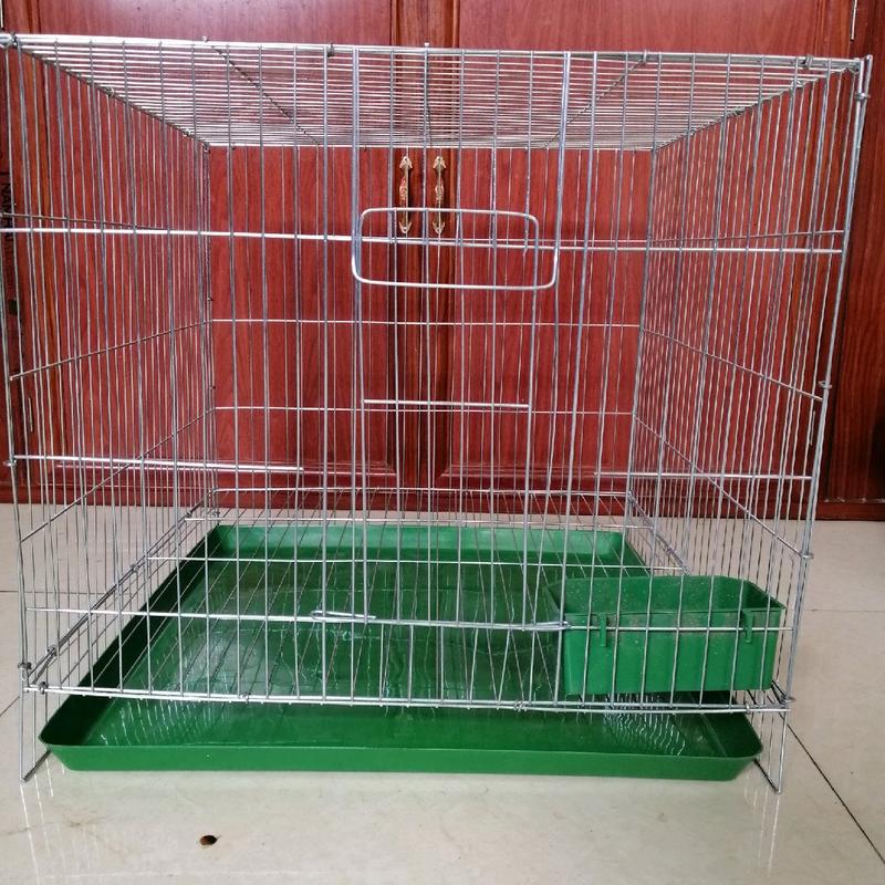Lồng mèo (chó nhỏ, sóc, chuột, thỏ,  tắc kè,  rồng nam mỹ)