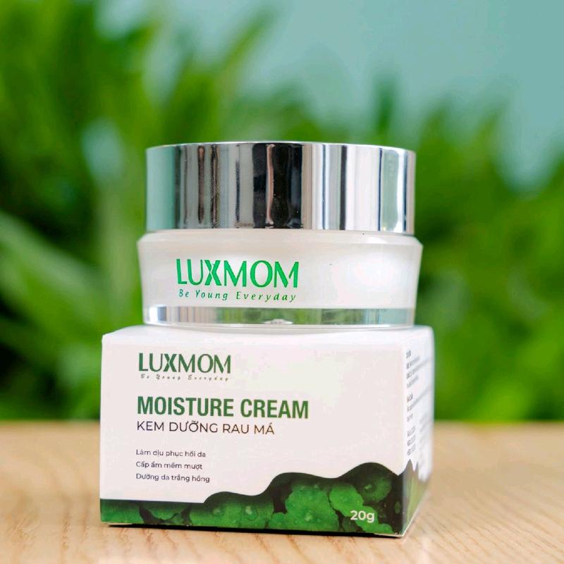 Bộ Chăm Sóc Da Hoàn Hảo Gồm Kem Rau Má + Sữa Rửa Mặt + Kem Chống Nắng Luxmom Skincare r đồ 6