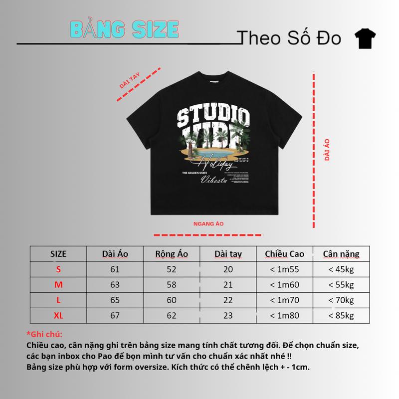 Product Introduction of Áo Thun Unisex VIBESTU Big Boxy Form Đảo Cọ 250Gsm Cotton HA.BO 0