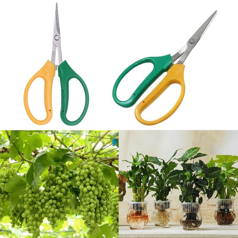 Product Introduction of กรรไกรตัดผักและผลไม้ หัวเอียง วัสดุสแตนเลส เหมาะสำหรับทำสวน กรรไกรหมากฝรั่ง E3B2 31