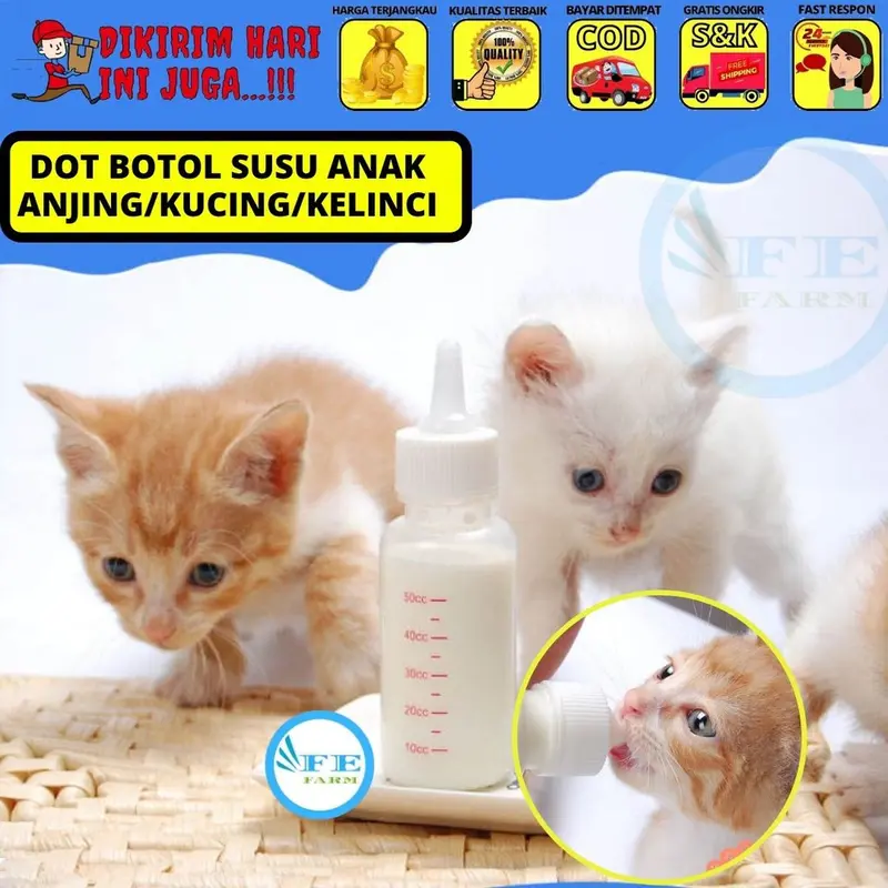 Dot Polos Susu Kucing Kitten Adult Botol Minum Hewan Peliharaan 5