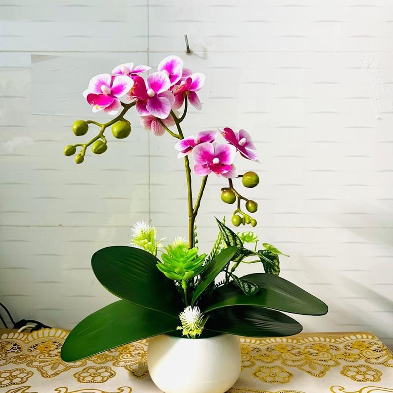 Hoa giả - Chậu lan tiểu hồ điệp cắm sẵn decor bàn làm việc Decor Phòng Trang Trí Nhà