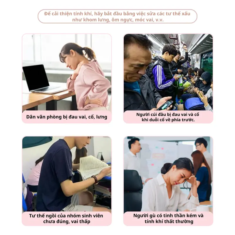 Đai Lưng Furika Nam/Nữ Hỗ Trợ Thẳng Lưng Phiên Bản Mới  - Định Hình Đường Cong Đẹp, Đai Nâng Ngực Bảo Vệ Có Nẹp Chỉnh Cột Sống 7