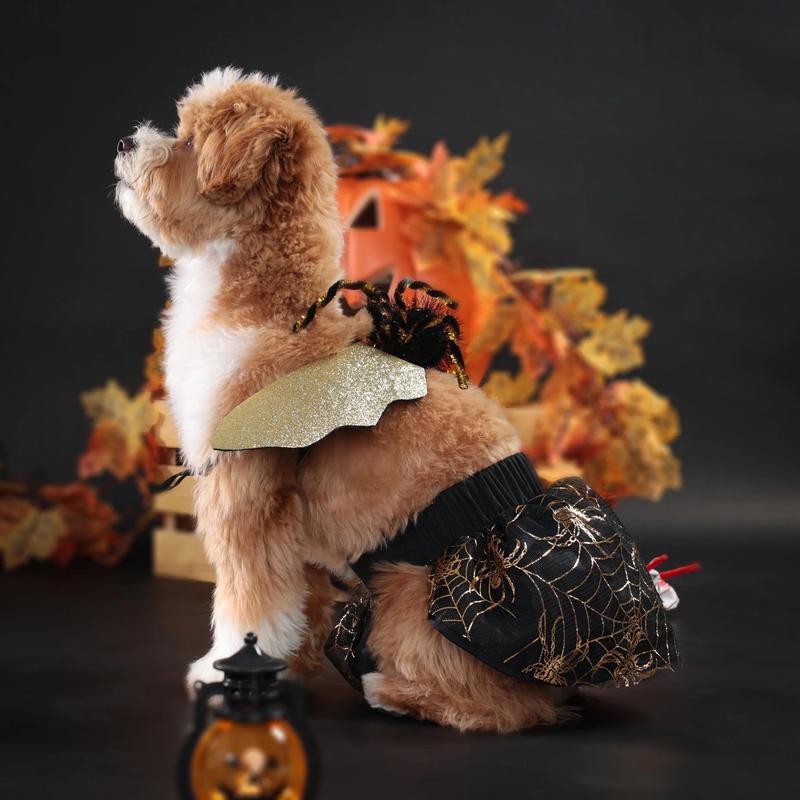 Product Introduction of Halloween Versatile Spider Set Small and Medium Dog Clothes 3