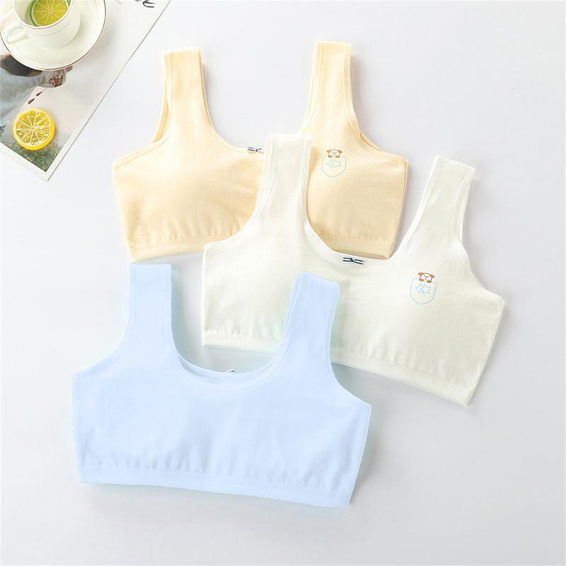 Product Introduction of Áo Ngực Không Gọng, Dành Cho Nữ Tuổi Teen, Không Có Gọng, Thích Hợp Cho Thời Kỳ Phát Triển, Học Sinh Và Nữ Tuổi Teen, Màu Trắng, Đồ Lót Thoải Mái, Áo Ngực Cho Bé 18