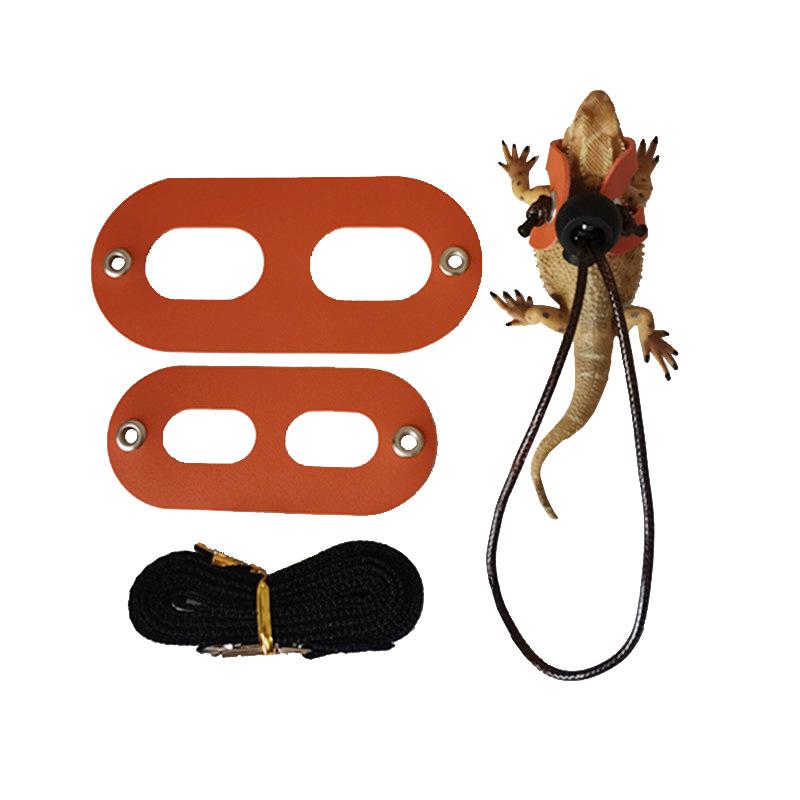 Product Introduction of 2025 Reptile Pet Lizard Leash with Wings Squirrel Harness Chinchilla Leash Green Gecko Lizard Guinea Pig Outdoor Leash 5