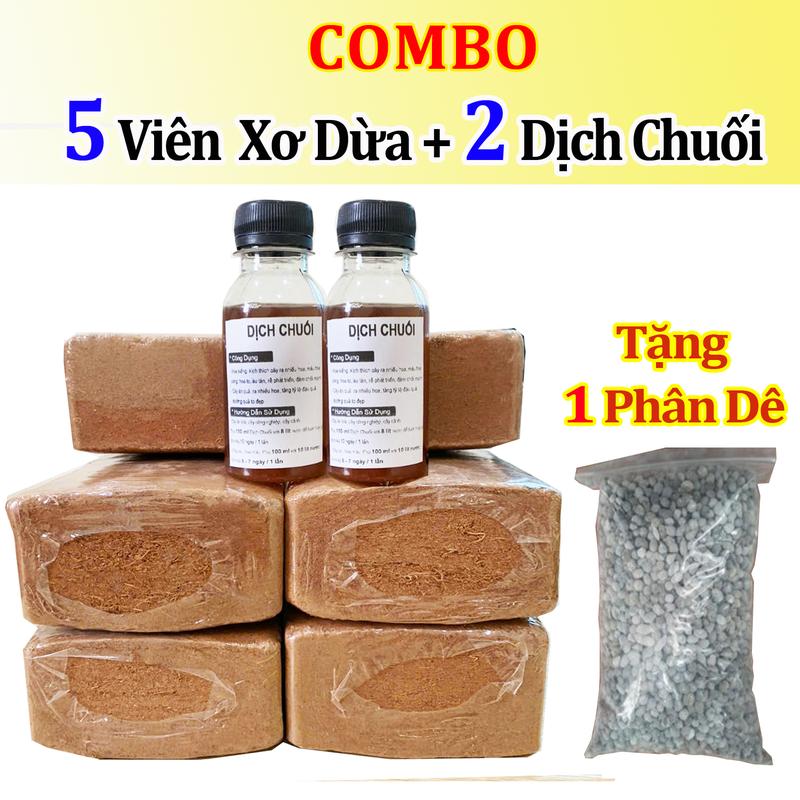  DongQue1930 Combo 5 Viên Nén Xơ Dừa Hữu Cơ 500g + 2 Chai Phân Bón Dịch Chuối Kèm Đạm Cá Cô Đặc & Kích Rễ Mai Vàng A01 Tặng Phân Dê 