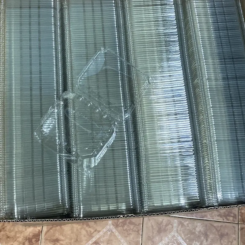 [50c] Hộp trái cây 500g và 1kg, hộp trong, và chắc chắn 3