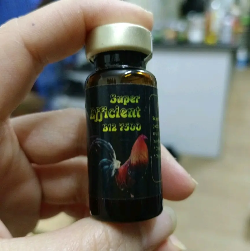 b12 7500 nuôi gà khoẻ