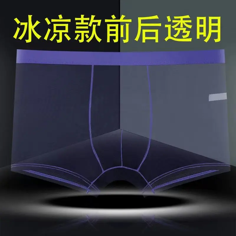 2025 [11000 People Praise] Sexy Fully Transparent Men's Underpants Ultra-Thin Mesh Boxers Breathable Boys Boxer Shorts Lace Comfortable