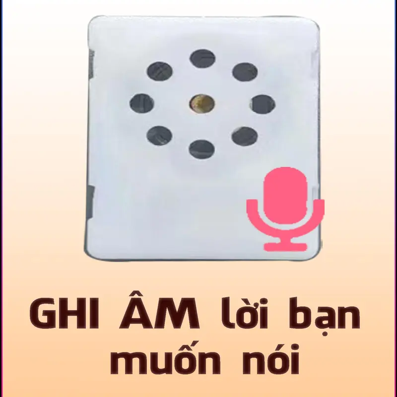 Bộ Set Gấu Ghi Âm Giọng Nói Tự Làm - Cún Corgi, Phụ Kiện Đầy Đủ, Quà Tặng Handmade Dịp Noel, Tết - Diy, Kèm Video Hướng Dẫn - Baggu DIY 6