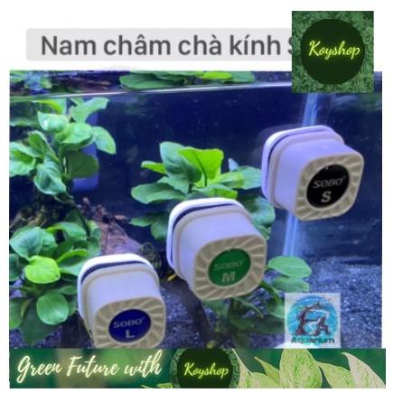Nam châm mini chà hồ lau kính bể cá nhỏ Sobo