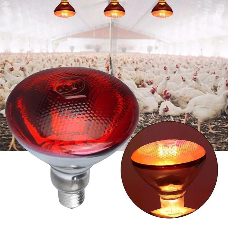 Product Introduction of 250W Poultry Infrared Heat Lamp Waterproof Anti-Explosion Thickened Light Bulbs ​ For Piglet Chicken Duck Birds E27 Heating Lamp 17