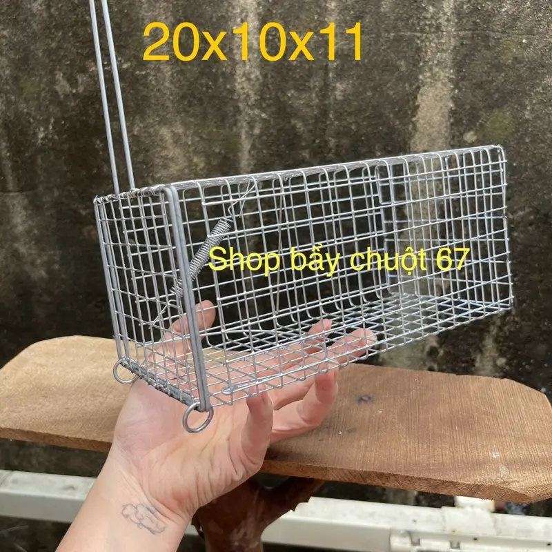 Combo 10 chuột  20x10x11 có khoen chống xảy