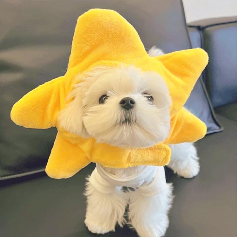Product Introduction of Funny Pet Costumes: Starfish, Bream, Pig, Chicken, Bear, Panda Headbands for Cats & Dogs 2