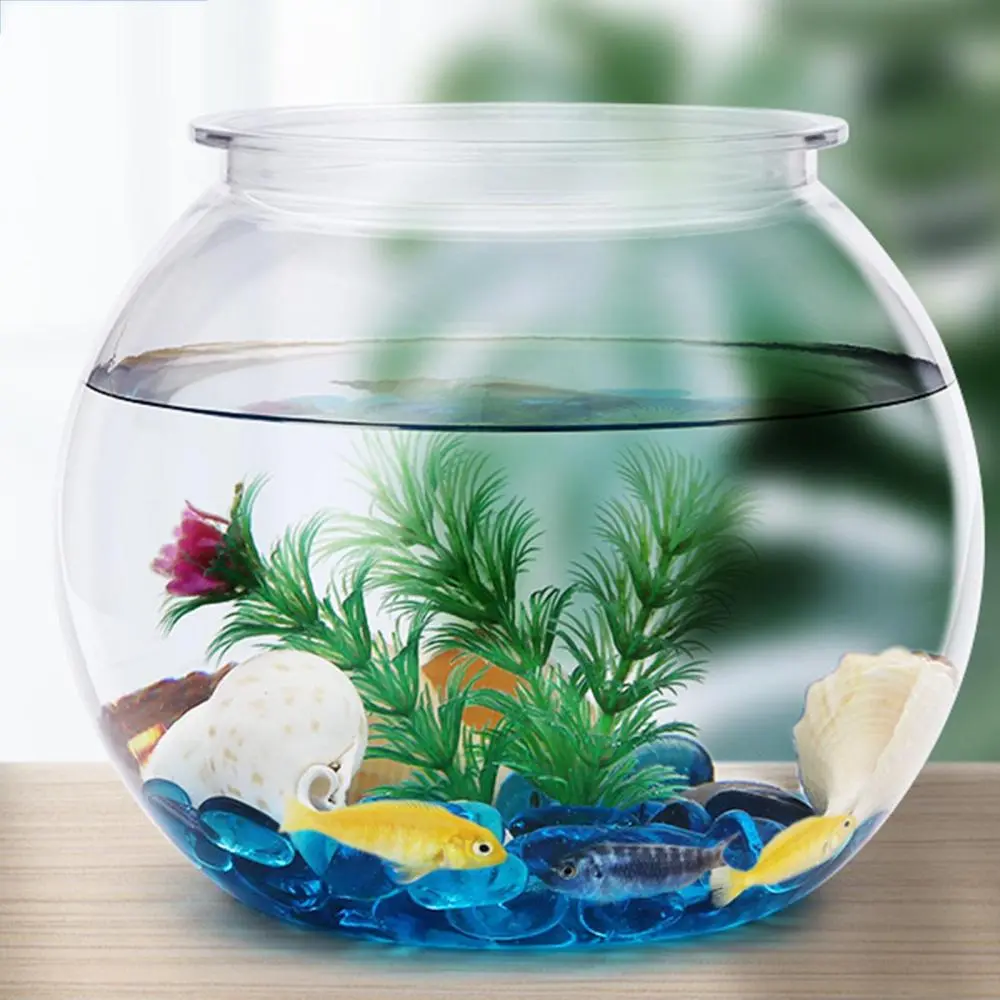 Bể cá Nhỏ trong suốt, Thích hợp cho cá Nhỏ, Bể cá cho đồ trang trí gia đình, Bình hoa bát cá, Bàn cho văn phòng, Đá cây