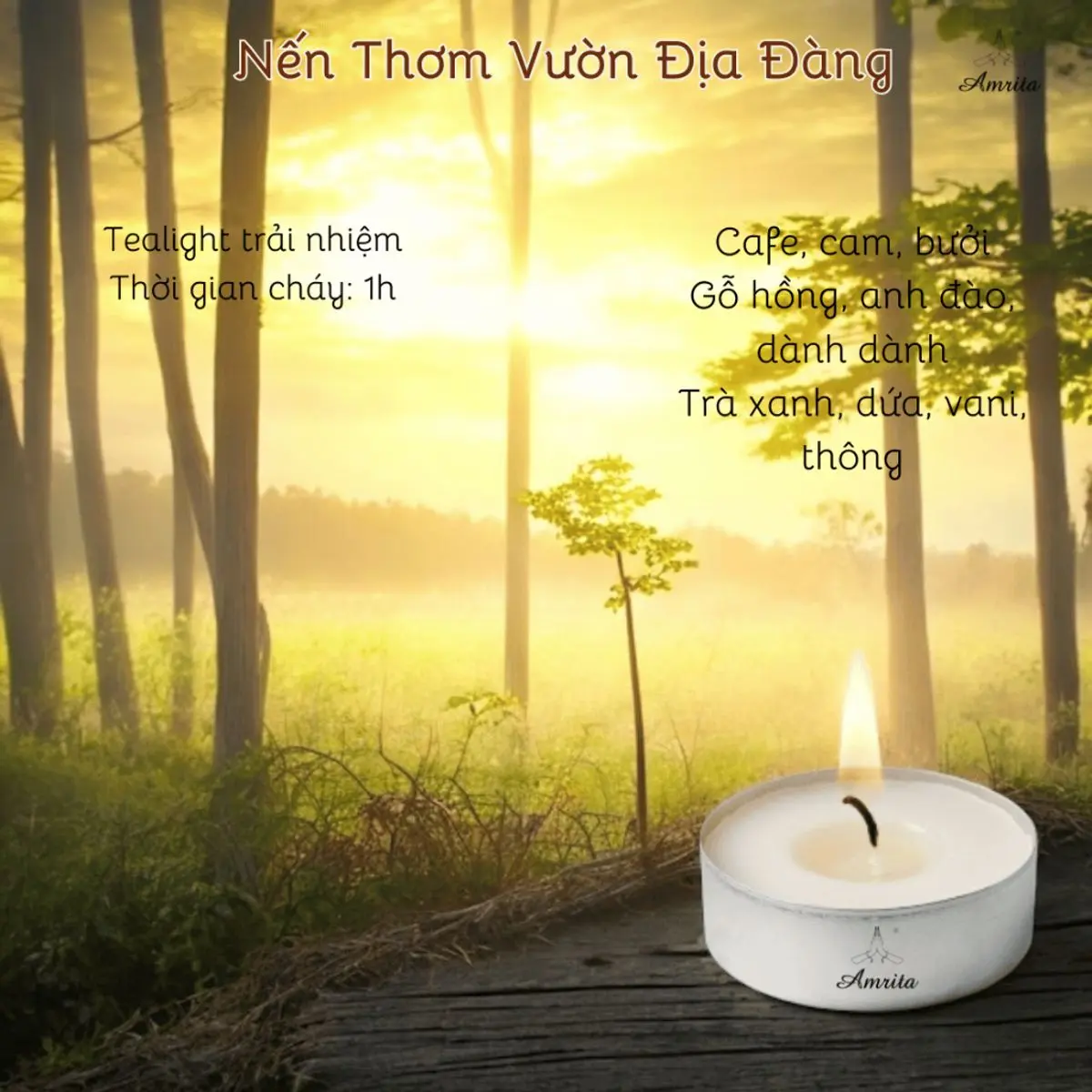 Tealᶖght Nến Thơm Vường Địa Đàng - 1 Giờ Tỏa Hương