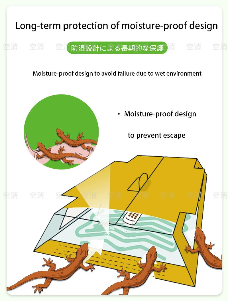 Product Introduction of Nhà thằn lằn, Bộ 5 cái, Hộp bẫy Dính, Bắt vật lý, Dính thằn lằn, Bắt hiệu quả, Tiện lợi, Thích hợp cho nhà bếp, nhà, ký túc xá, công ty, nhà hàng 2