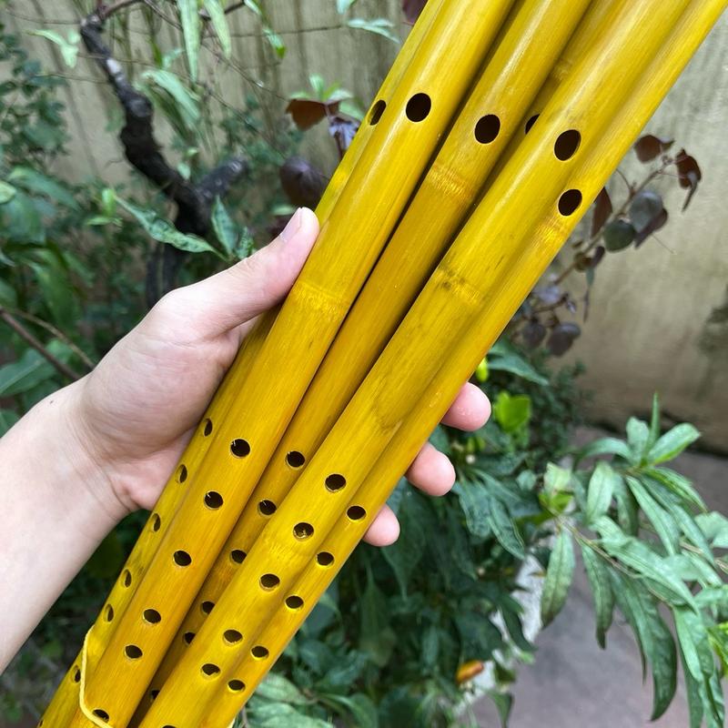 Sáo trúc ngang ( dễ thổi cho mọi lứa tuổi ), sáo trúc nghệ thuật, sáo trúc việt nam , sáo trúc tre, dể thổi 7