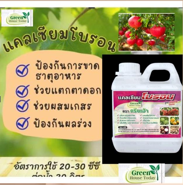Product Introduction of แคลเซียม โบรอน + คีเลต สูตร Extra ผสมธาตุอาหารพืชครบ เร่งติดดอก ผลดก ขั้วเหนียว ลูกใหญ่ ลดต้นทุน เพิ่มผลผลิต 1 ลิตร 12