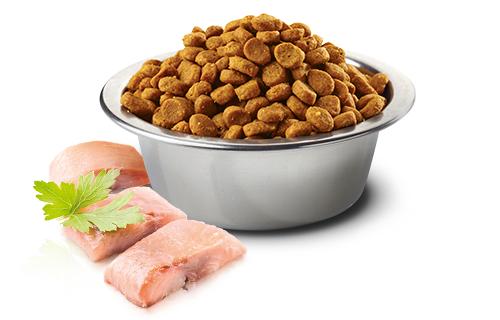 Product Introduction of Thức ăn mèo N&D [Bao nguyên seal 10kg] không ngũ cốc (Grain free) 24