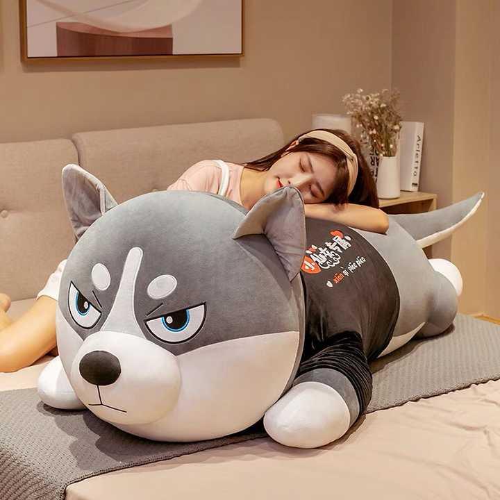  Gấu Bông chó husky Kích Thước 1m2 ,Đồ Chơi Thú Nhồi Bông Chó Ngáo Chất Liệu Vải Nhung Co Dãn Siêu Mềm mịn Có ảnh thật shop chụp không chỉnh sửa 