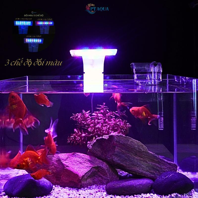 Đèn led kẹp bể cá mini dành cho hồ cá hồ thủy sinh