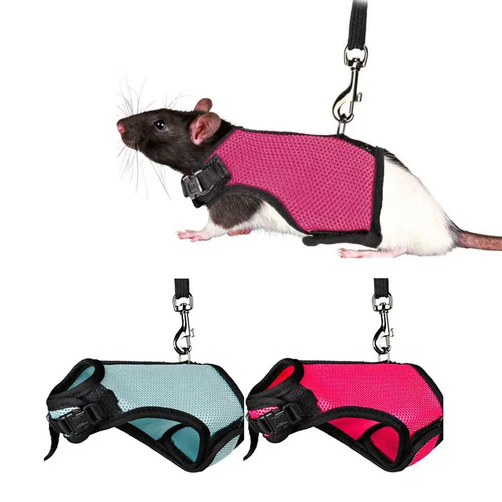 Rat Adjustable Small Animals Leads Pet Accessories Bunny Rabbit Harness Leash Chest Strap Small Pet  Supplies Vest Leashes  Set
