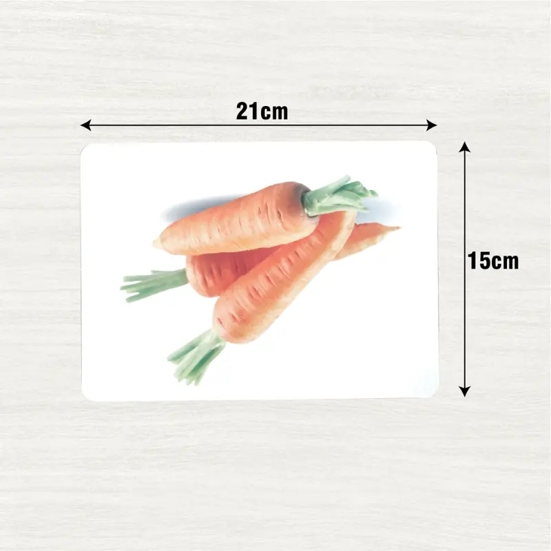 Bộ thẻ flash card học thế giới xung quanh , khổ A5 - 100 thẻ 3