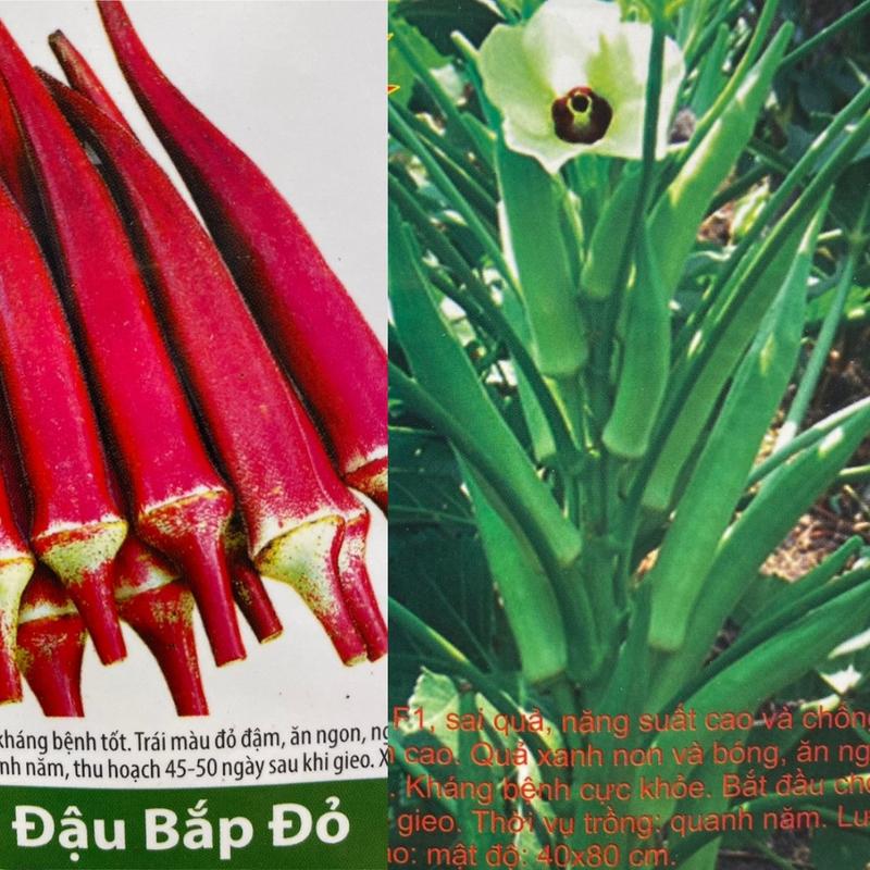 Hạt giống đậu bắp xanh xanh, đỏ rất sai quả, mã quả đẹp, không xơ.