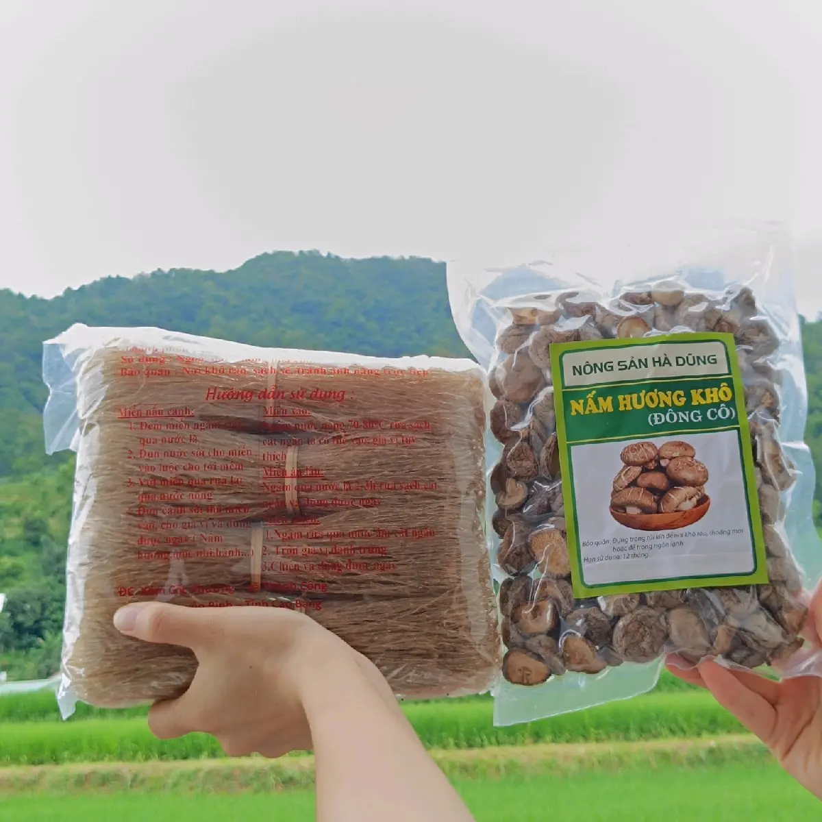 [COMBO] 1kg Miến Dong Phia Đén + 100gr Nấm Hương Khô (size bé) hàng Việt Nam