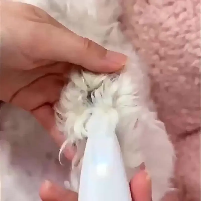 Rechargeable Pet Hair Trimmer Kit, 1 Set Pet Paw Hair Trimmer with LED Light, Pet Grooming Tool, Dog & Cat Grooming Supplies 6