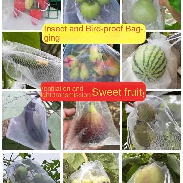 Túi Trái Cây, Thông Dụng, Chống Chim, Chống Côn Trùng, Thích Hợp Cho Dưa Và Trái Cây, Đặc Biệt Cho Húng Quế, Quả Mọng, Nho, Đào, Dâu Tây, Có Lưới, Túi Mắt 4