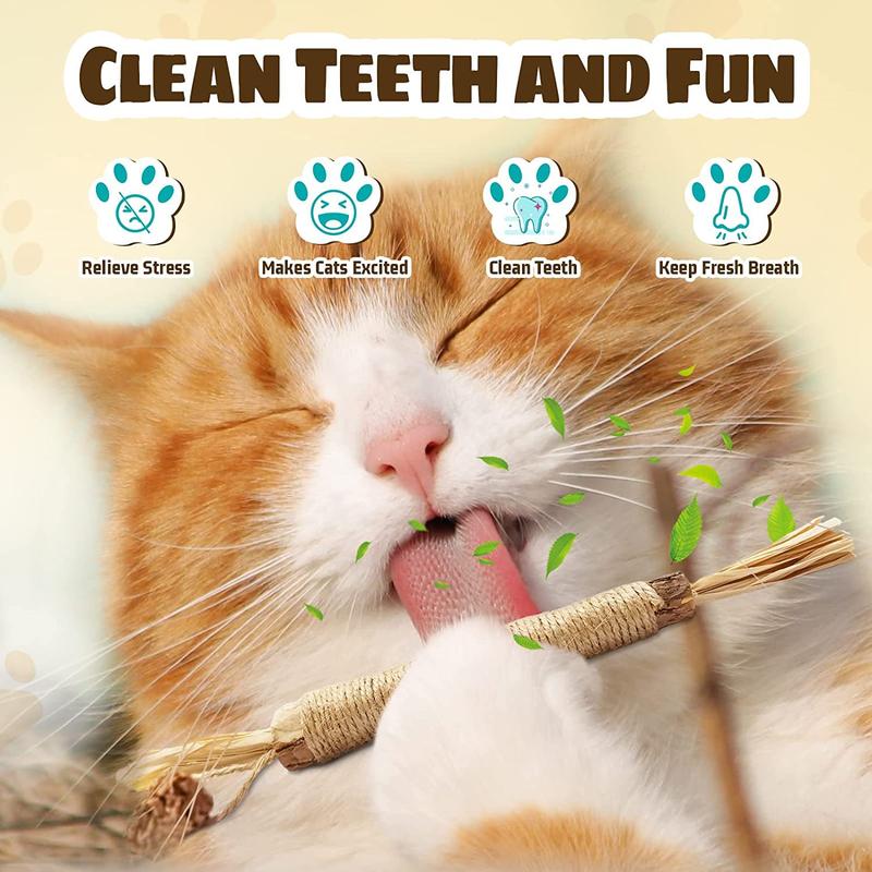 Product Introduction of Wooden Polygonum Stick Bite Combination New Cat Toy Teeth Grinding Tooth Cleansing Removal Fresh Breath 4