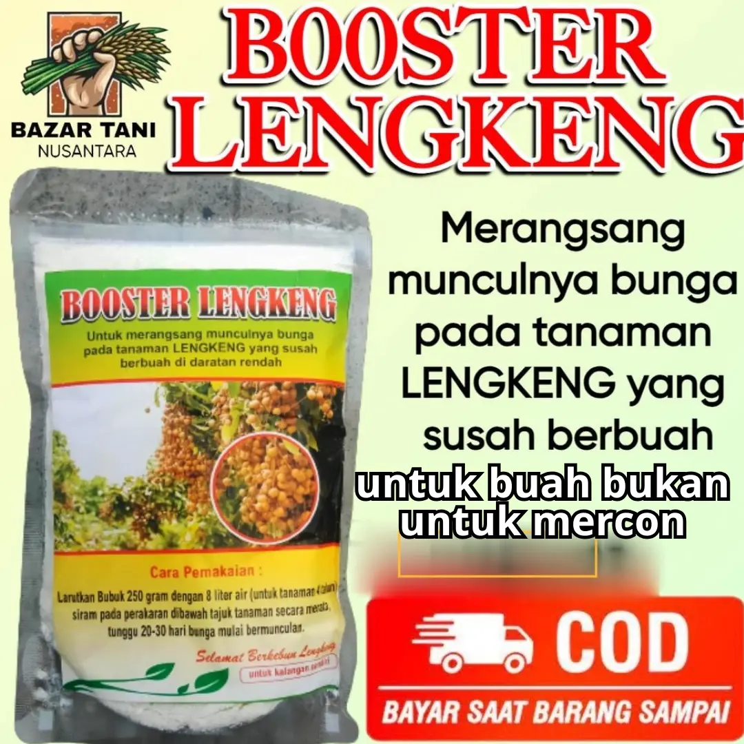 btn pupuk booster Kelengkeng memacu bunga dan buah lengkeng Tanaman