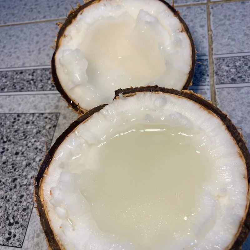 [Loại2 size Lớn ] Dừa Sáp Trà Vinh- Thực Phẩm Khô- Thức Ăn Food 3