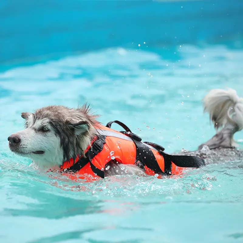 Chomeo Pet Training Supplies, Dog Life Jackets, Safe Cooling Pet Cool Clothes, Pet Swimming Suits
