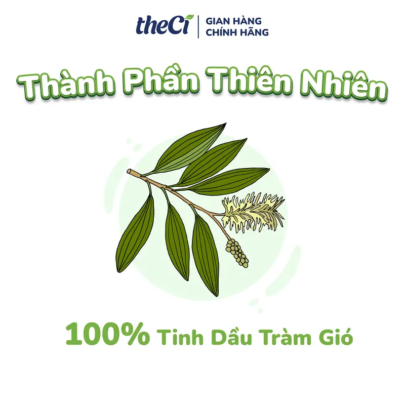 Tinh Dầu Tràm Gió theCi Cajeput Essential Oil Giữ Ấm Tránh Gió, Thanh Lọc Không Gian 50ml 4