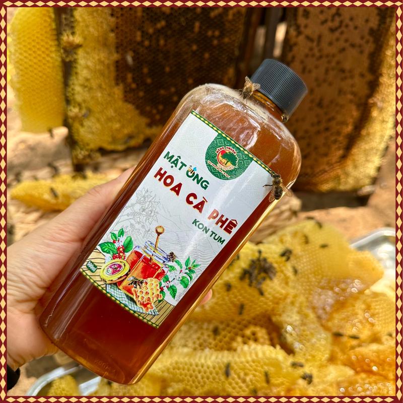 Mật Ong Thiên Nhiên Hoa Cà Phê Dẻo Sánh - Gìa Thơm - Ngọt Thanh