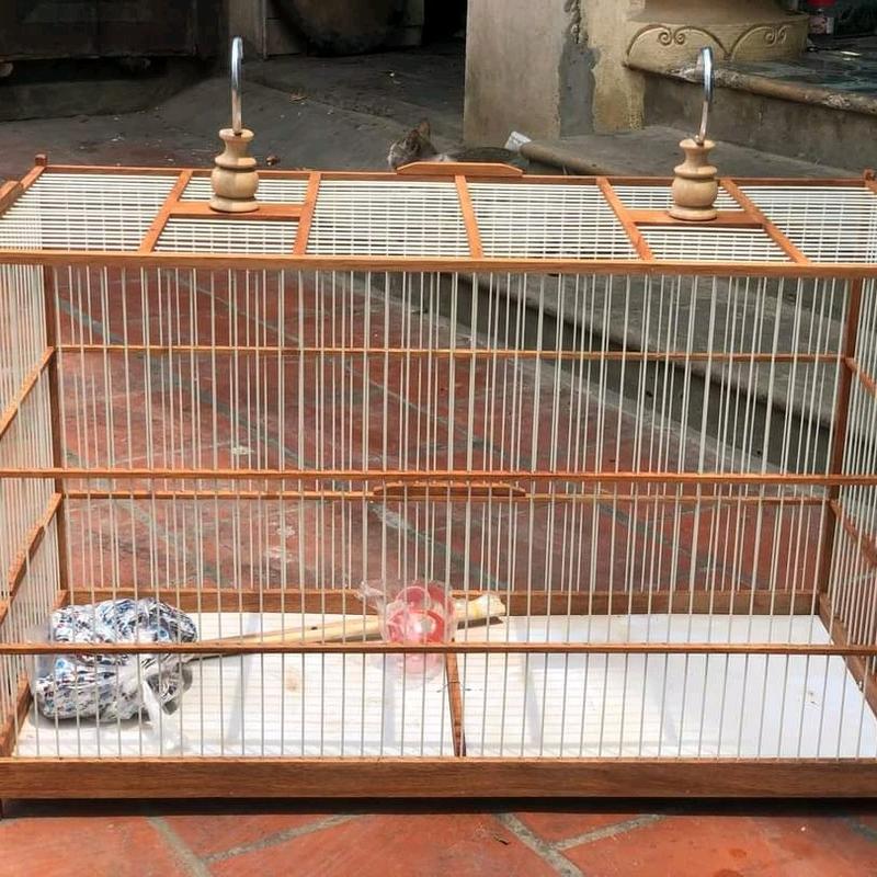 khung tự ráp lồng tập lực chào mào, chòe, khung gỗ nan cáp quang ( ráp sẵn 6 mặt)