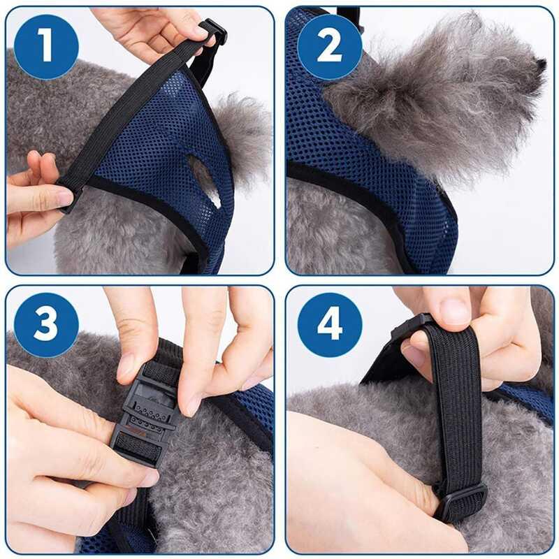 Sizes Washable with 3 Replaceable Diaper for Female Mesh Hole Design Accessories Diapers Pet Panties Dog Underwear 4