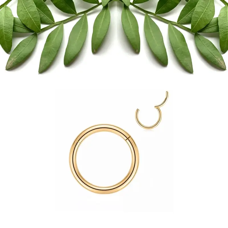 Gold Titanium Nose Ring, Nose Ring Hoops, Septum Clicker Nose Ring, Helix Hoop Ring 1