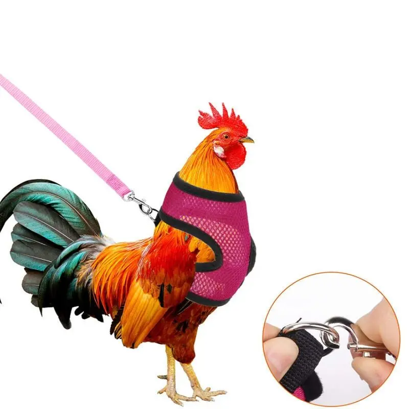 Colorful Belt Clothes Pet Chicken Pet Belt Portable Goose Belt Parrot Chicken Cute Strap
