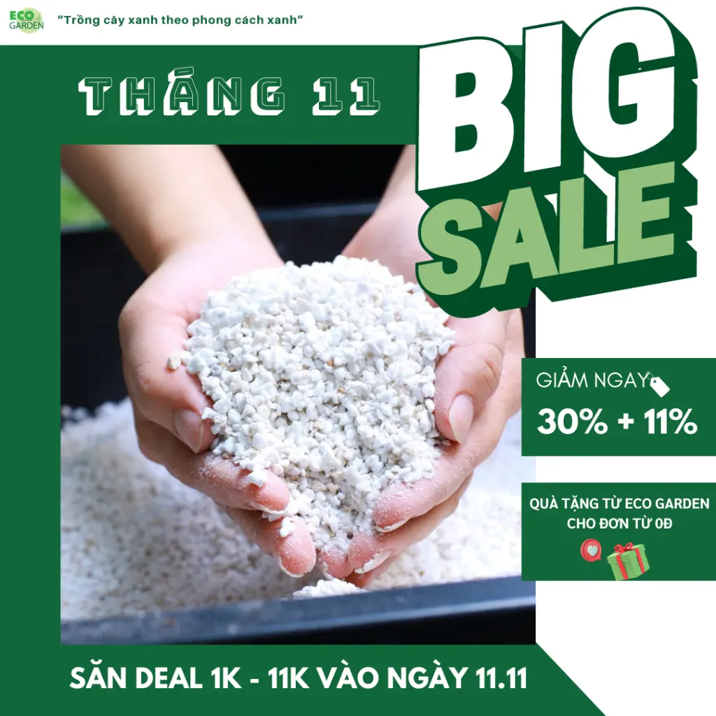 [Giảm 30%+11%] Túi 200G - Đá Perlite size 3-6mm trộn trồng rau, hoa, cây mọng nước