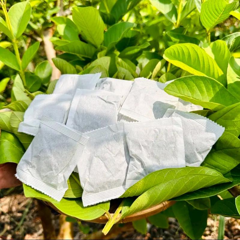 combo 60 túi lọc trà ngọn ổi míc 3 vị ( cỏ ngọt.lá dứa nếp Hữu cơ Nước Trà Tea 5