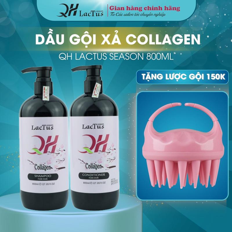 Combo dầu gội dầu xả collagen QH Lactus season 800ML [ Tặng 1 lược gội tốt hồng  ]
