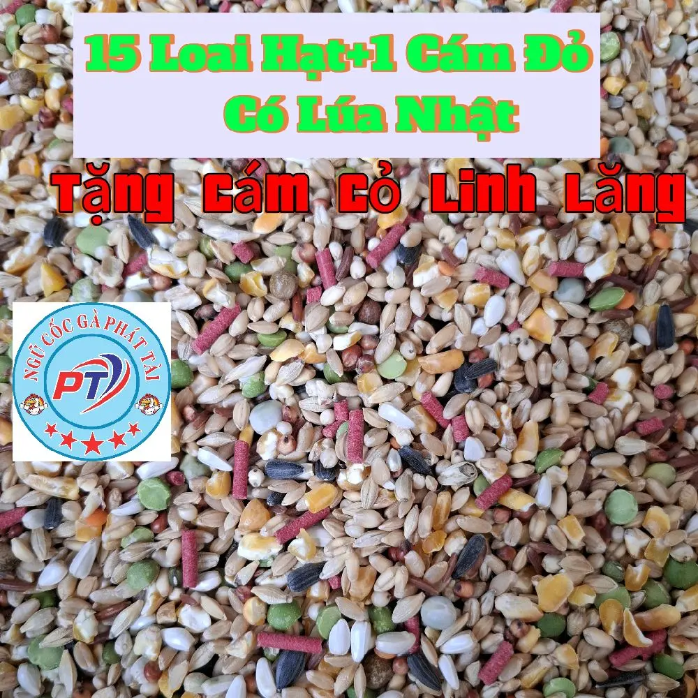 10kg Ngũ Cốc Gà 15 Hạt+1 Cám Đỏ+ Lúa Nhật(Tặng 2 Bịch Cỏ Linh Lăng Ép Viên)