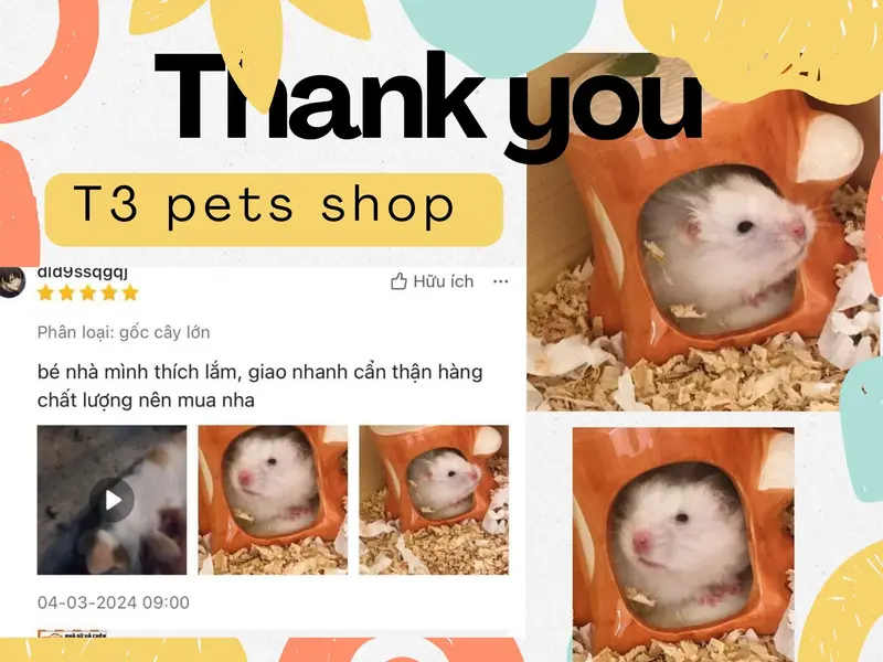 nhà sứ hình quả óc chó, đậu phộng, hạch đào , gốc cây, dừa cho hamster và sóc - T3 PETS SHOP 7