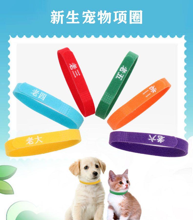 Product Introduction of Vòng Cổ Phân Loại Thú Cưng, Hàng Mới Về Năm 2025, Dành Cho Mèo Con Và Chó Con, Vòng Cổ Nhận Dạng, Thích Hợp Cho Chó Con Và Mèo Sơ Sinh, Vòng Cổ Thứ Tự Sinh, Thích Hợp Cho Chó Sữa 1